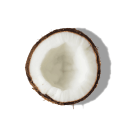 COCONUT OIL COCONUT OIL