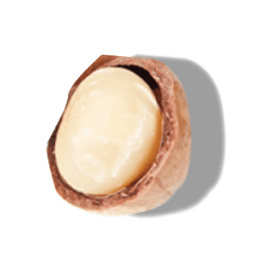 MACADAMIA SEED OIL MACADAMIA SEED OIL