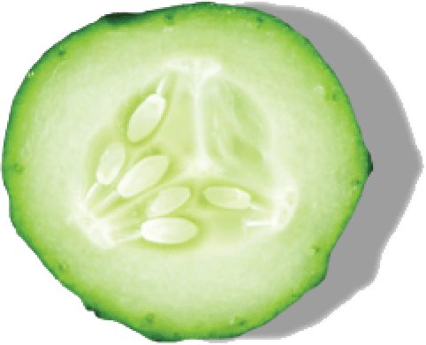 CUCUMBER EXTRACT CUCUMBER EXTRACT