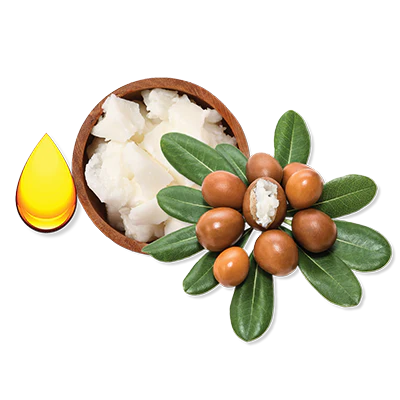 SHEA BUTTER & ARGAN OIL SHEA BUTTER & ARGAN OIL