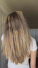 Amy Ann Morris - Full Digital (web, email, social, etc.) - expires never